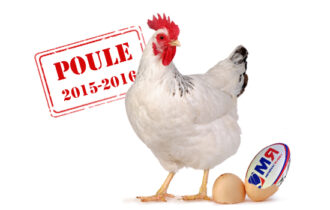 poule 6